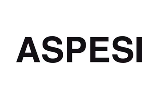 banner aspesi